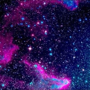 Meet your Posher, Lilia